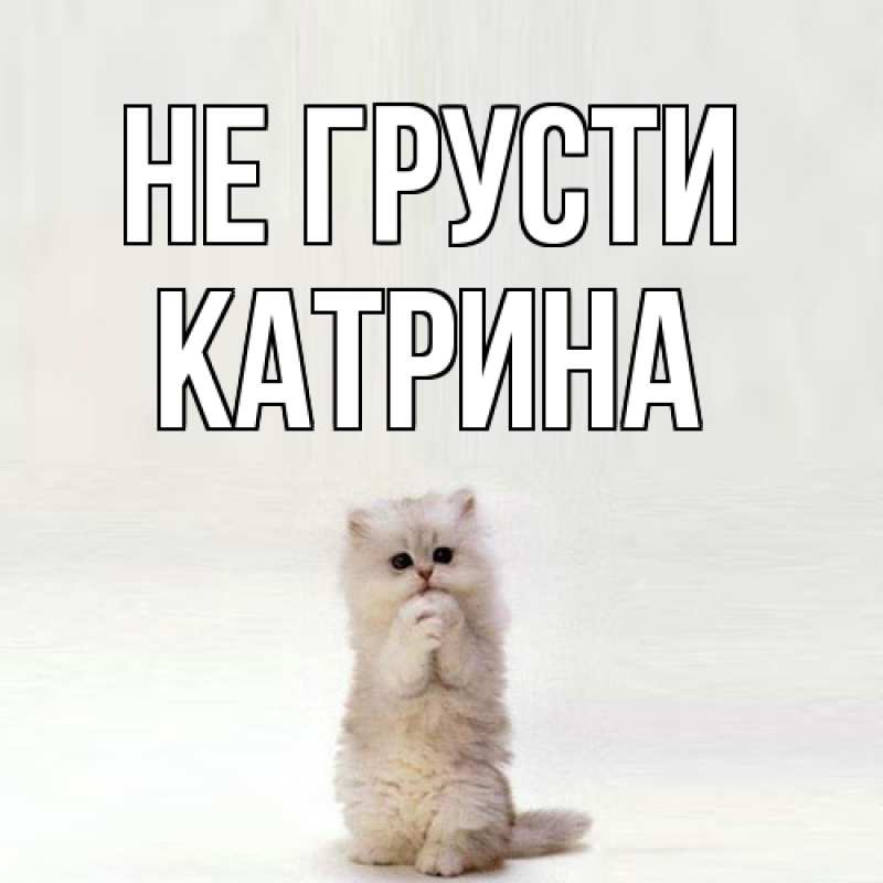 Картинка Не грусти, Катрина