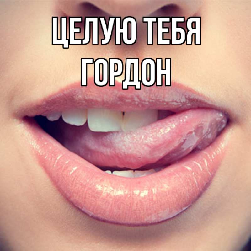 Картинка Целую тебя, Гордон
