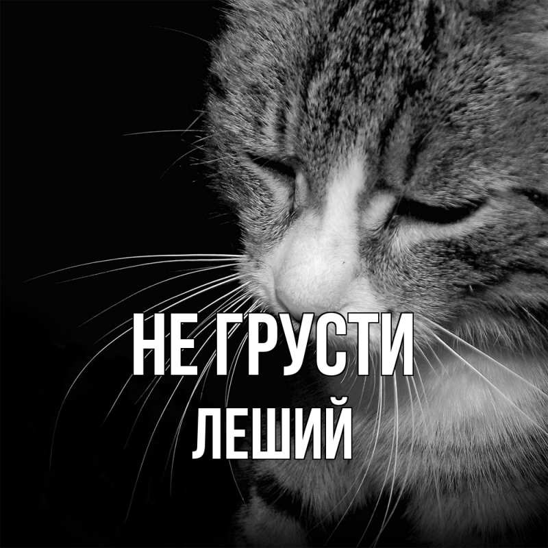 Картинка Не грусти, Леший