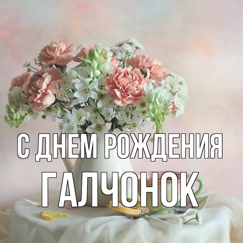 Картинка С днем рождения, галчонок
