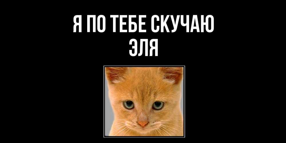 Открытка на каждый день с именем, Эля Я по тебе скучаю открытки рыжий котенок скучает по тебе Прикольная открытка с пожеланием онлайн скачать бесплатно 
