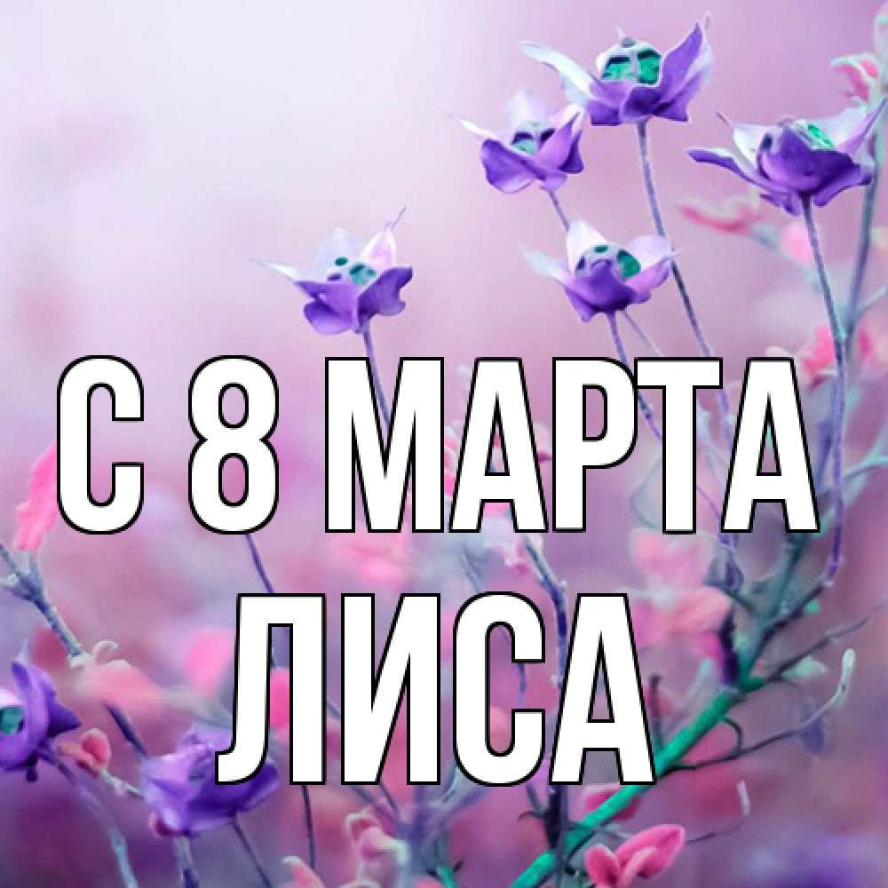 Открытка на каждый день с именем, лиса C 8 МАРТА международный женский день 2 Прикольная открытка с пожеланием онлайн скачать бесплатно 