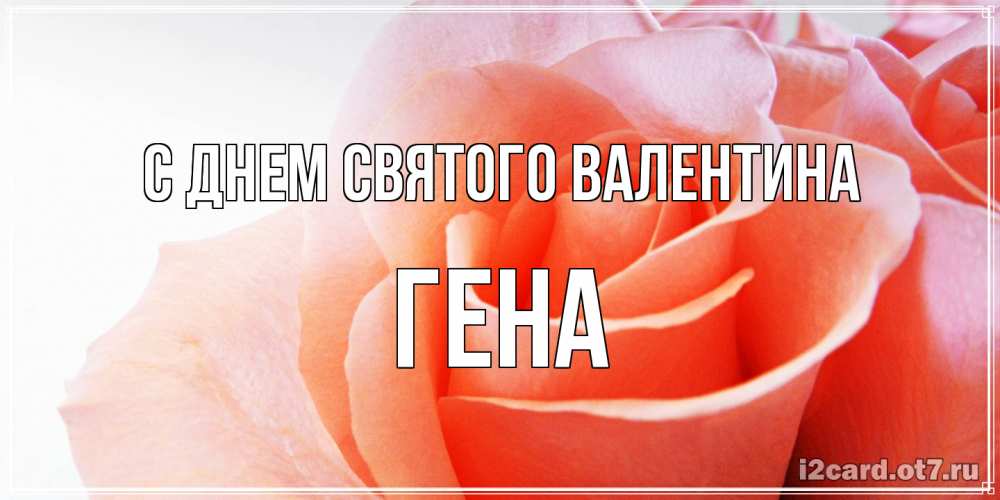 Открытка на каждый день с именем, Гена С днем Святого Валентина открытка на день Святого Валентина с розовой розой Прикольная открытка с пожеланием онлайн скачать бесплатно 