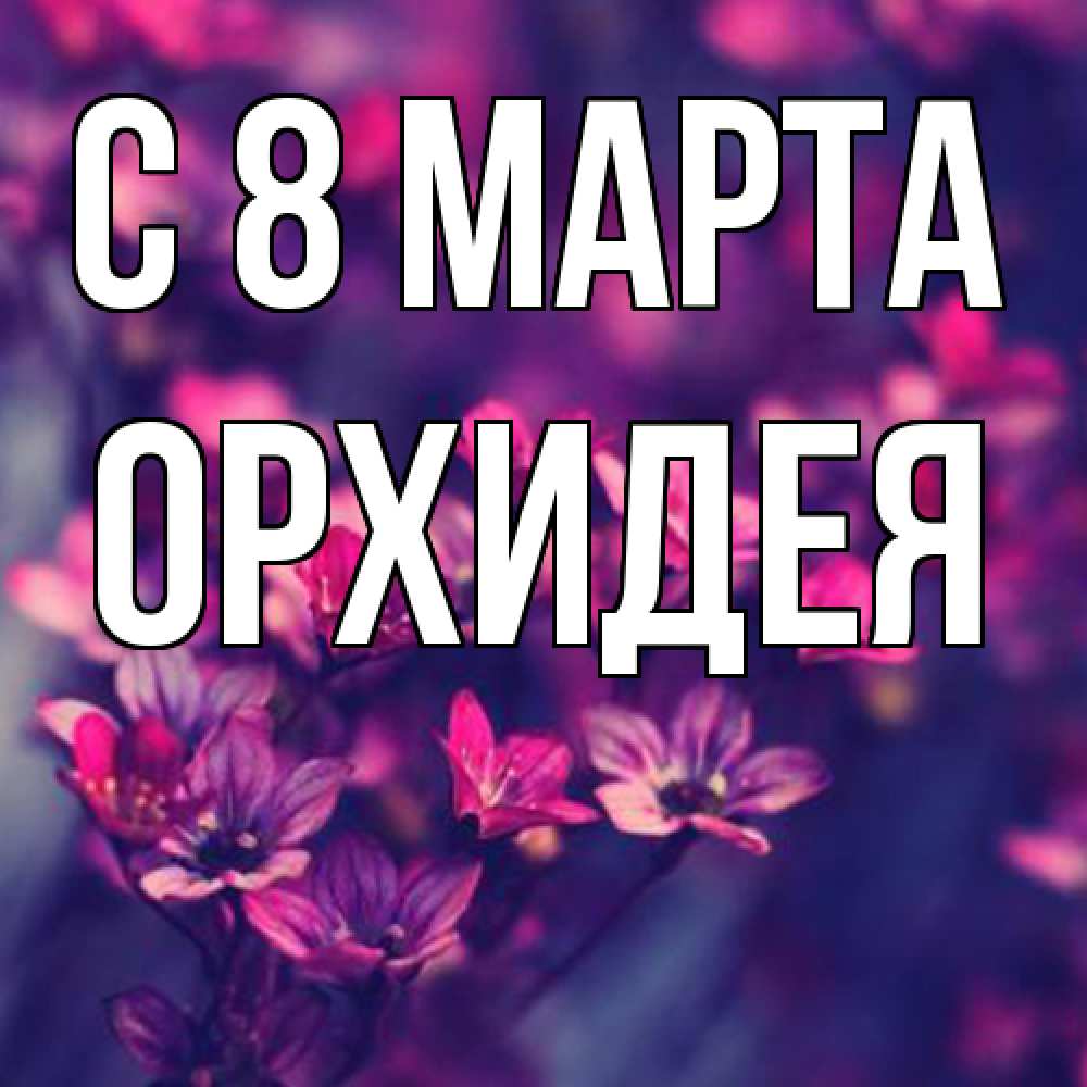 Открытка на каждый день с именем, Орхидея C 8 МАРТА небольшие цветы 1 Прикольная открытка с пожеланием онлайн скачать бесплатно 