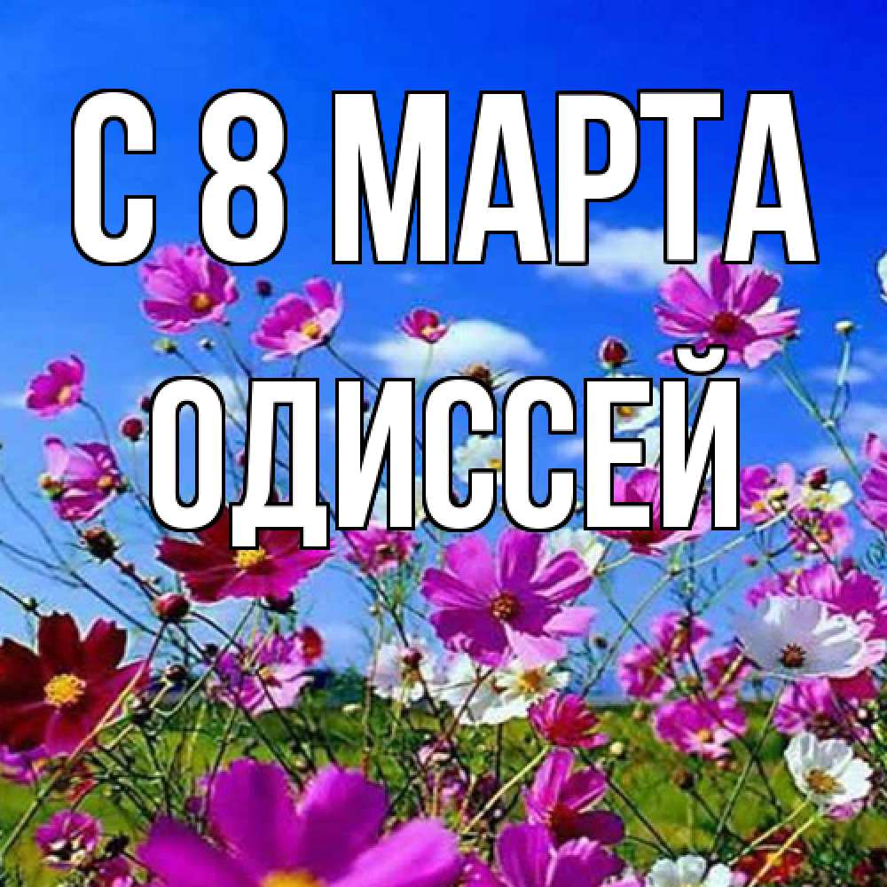 Открытка на каждый день с именем, Одиссей C 8 МАРТА цветы Прикольная открытка с пожеланием онлайн скачать бесплатно 