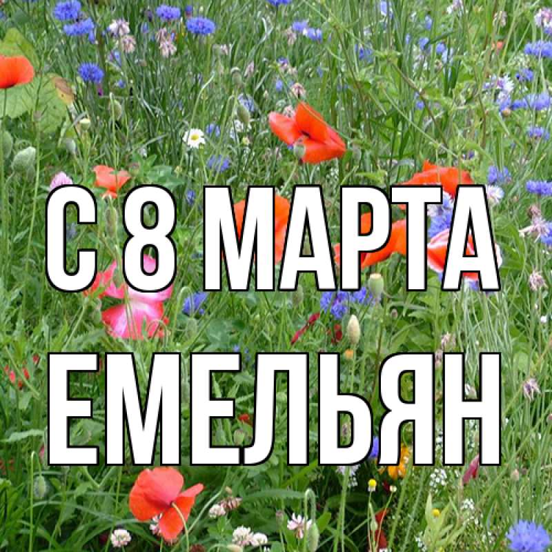 Картинка C 8 МАРТА, Емельян