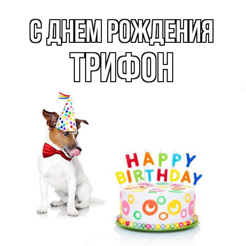 Открытка с именем, Трифон, С днем рождения