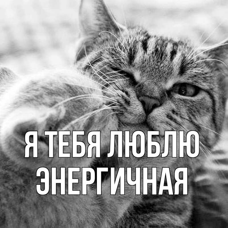 Картинка Я тебя люблю, Энергичная