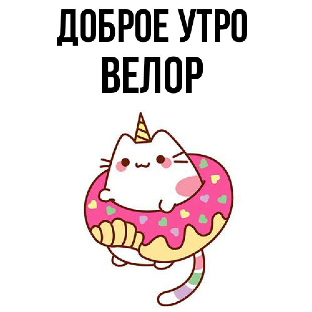 Открытка на каждый день с именем, Велор Доброе утро кот в бублике Прикольная открытка с пожеланием онлайн скачать бесплатно 