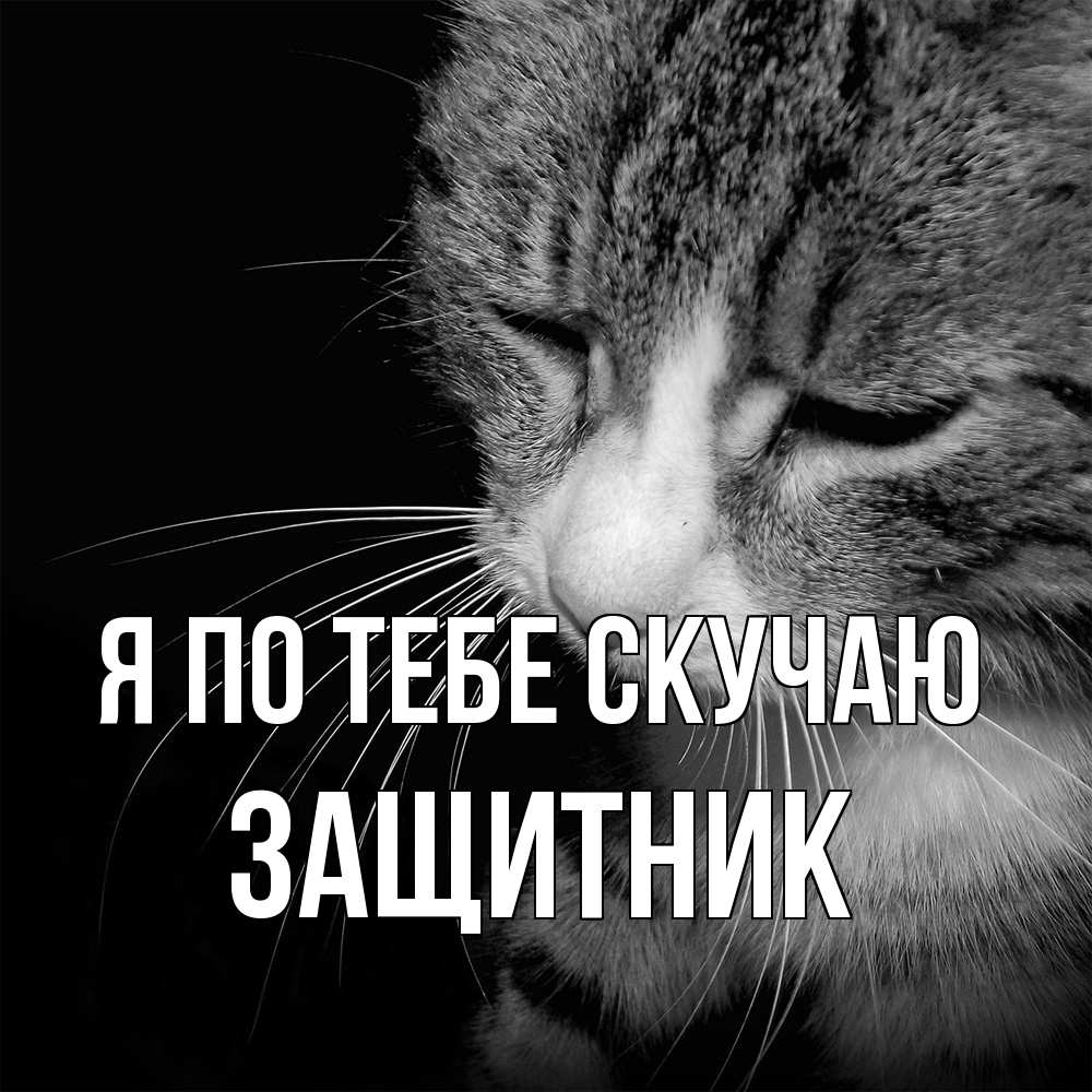 Открытка на каждый день с именем, Защитник Я по тебе скучаю мне скучно Прикольная открытка с пожеланием онлайн скачать бесплатно 
