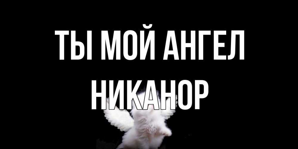 Открытка на каждый день с именем, Никанор Ты мой ангел Кот ангел Прикольная открытка с пожеланием онлайн скачать бесплатно 
