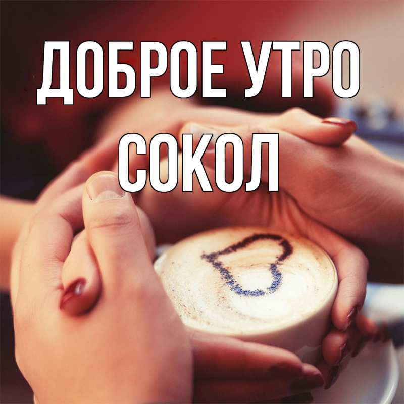 Картинка Доброе утро, Сокол