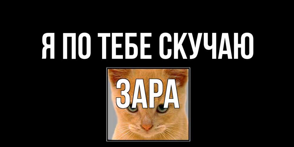 Открытка на каждый день с именем, Зара Я по тебе скучаю открытки рыжий котенок скучает по тебе Прикольная открытка с пожеланием онлайн скачать бесплатно 