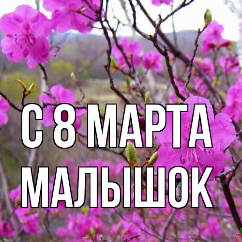 Картинка C 8 МАРТА, малышок