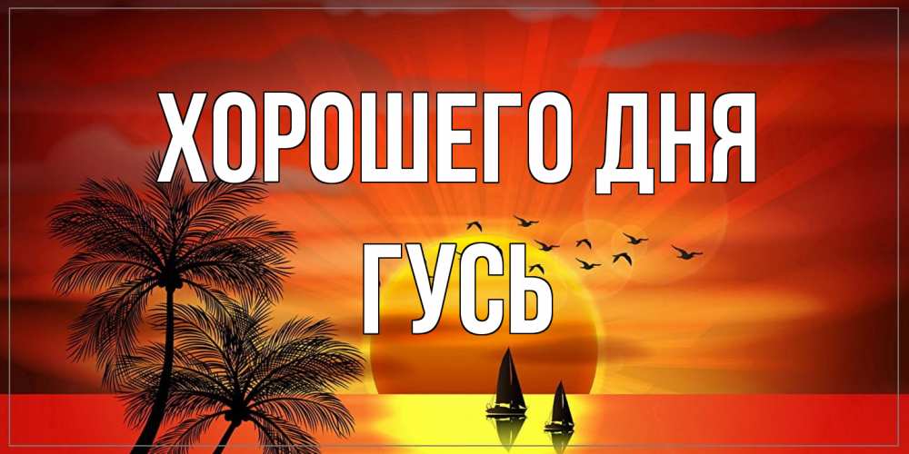 Открытка на каждый день с именем, Гусь Хорошего дня открытки с пожеланиями хорошего дня Прикольная открытка с пожеланием онлайн скачать бесплатно 