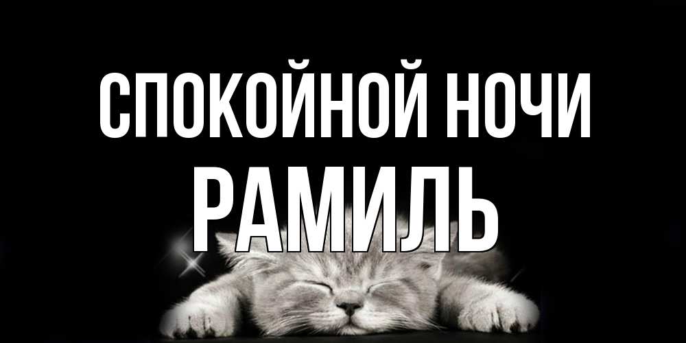 Открытка на каждый день с именем, Рамиль Спокойной ночи спящий котик Прикольная открытка с пожеланием онлайн скачать бесплатно 