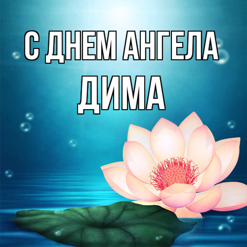 Открытка на каждый день с именем, Дима С днем ангела кувшинка Прикольная открытка с пожеланием онлайн скачать бесплатно 