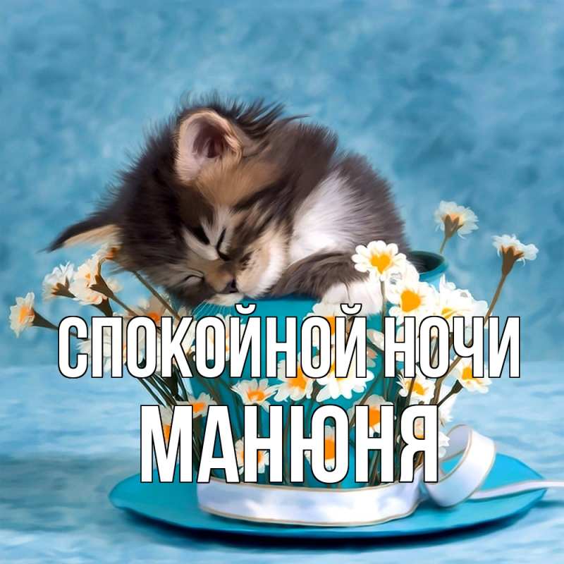 Картинка Спокойной ночи, Манюня
