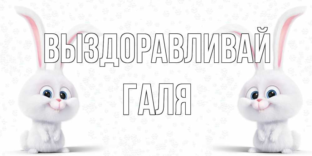 Открытка на каждый день с именем, Галя Выздоравливай не болей с зайцем Прикольная открытка с пожеланием онлайн скачать бесплатно 