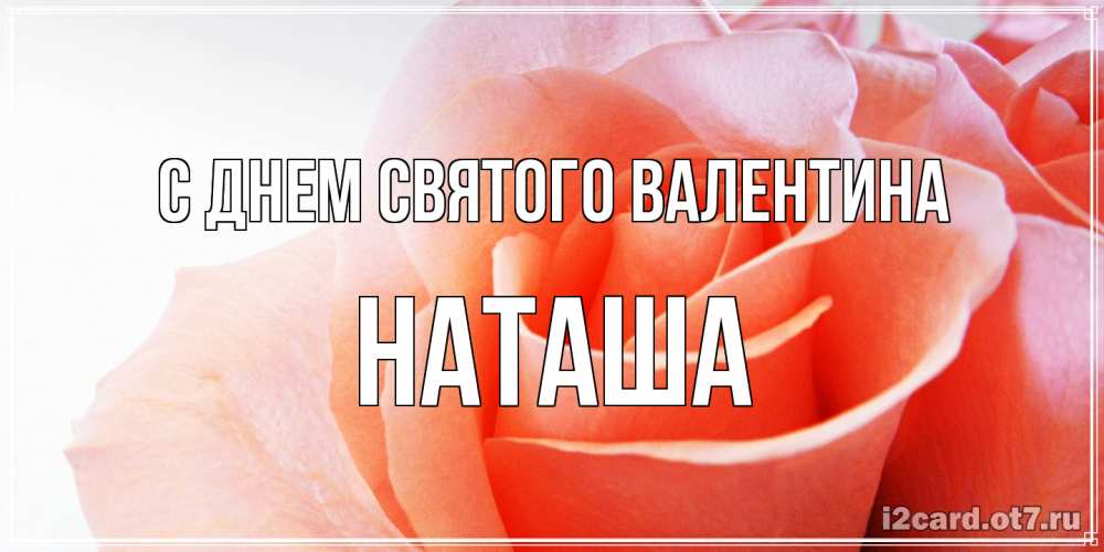 Открытка на каждый день с именем, Наташа С днем Святого Валентина открытка на день Святого Валентина с розовой розой Прикольная открытка с пожеланием онлайн скачать бесплатно 