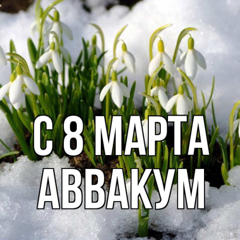 Картинка C 8 МАРТА, Аввакум