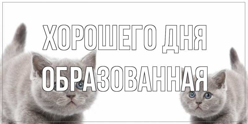 Открытка с именем, Обpазованная, Хорошего дня