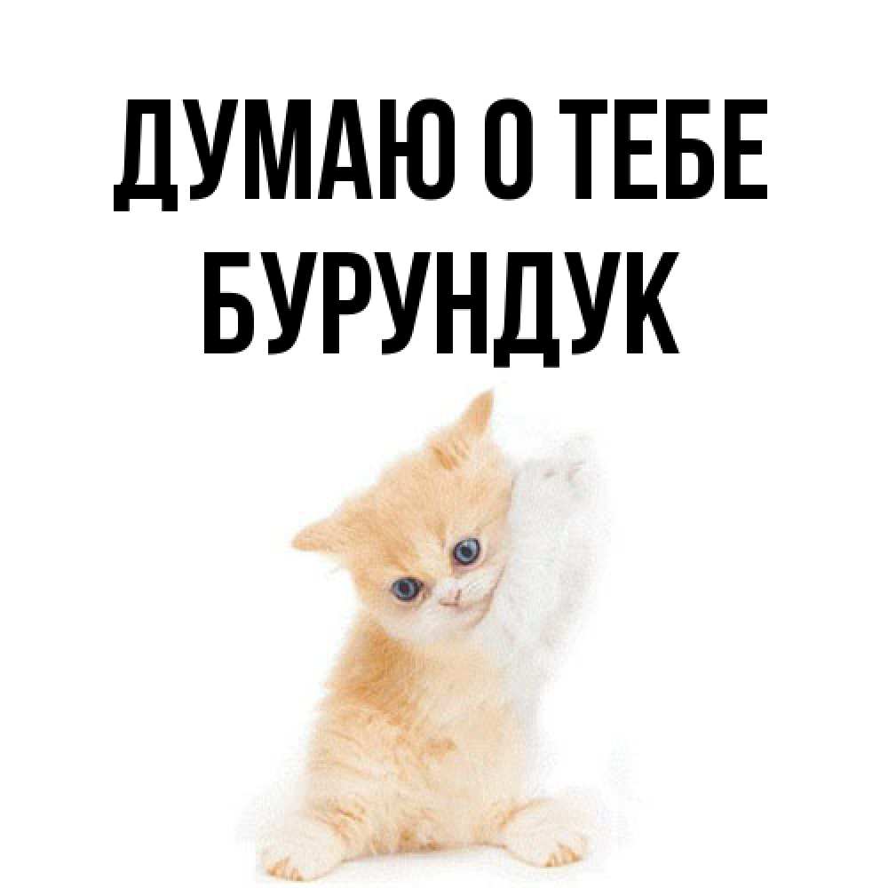 Открытка на каждый день с именем, Бурундук Думаю о тебе зверушки и милота Прикольная открытка с пожеланием онлайн скачать бесплатно 