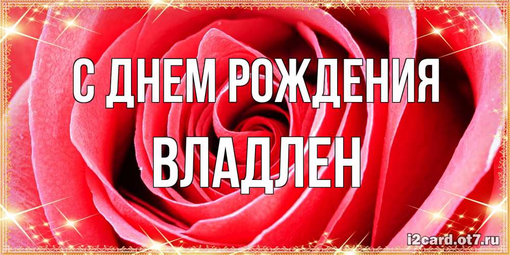 Открытка на каждый день с именем, Владлен С днем рождения розовая роза очень крупный бутон Прикольная открытка с пожеланием онлайн скачать бесплатно 