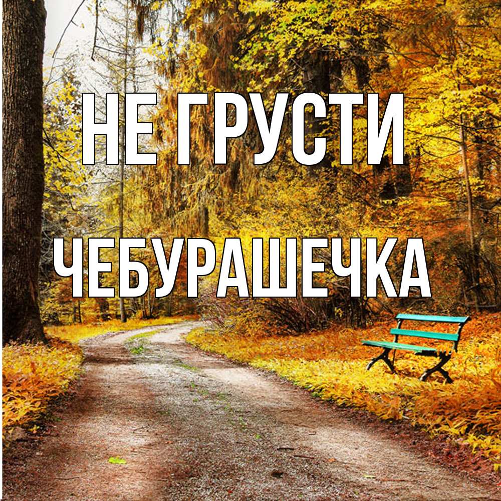 Открытка на каждый день с именем, Чебурашечка Не грусти зеленая лавочка Прикольная открытка с пожеланием онлайн скачать бесплатно 