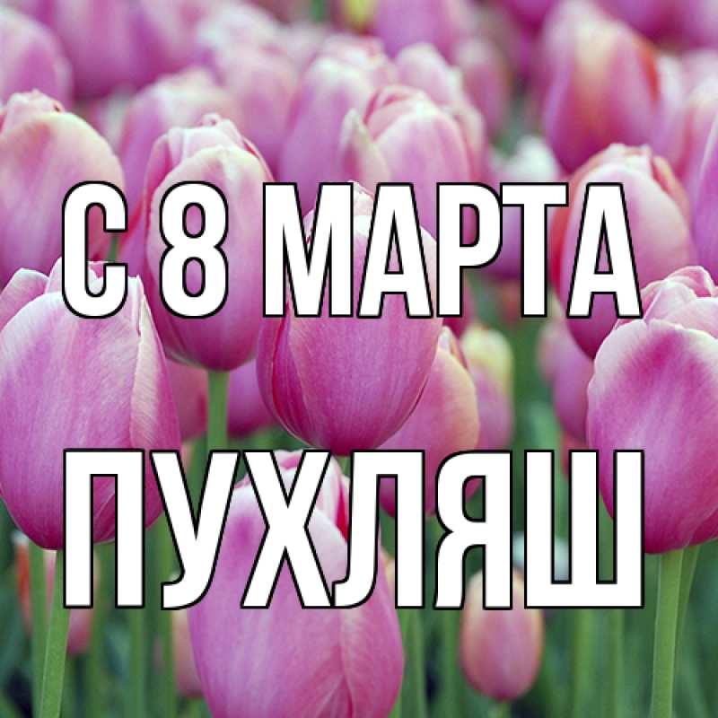 Картинка C 8 МАРТА, пухляш