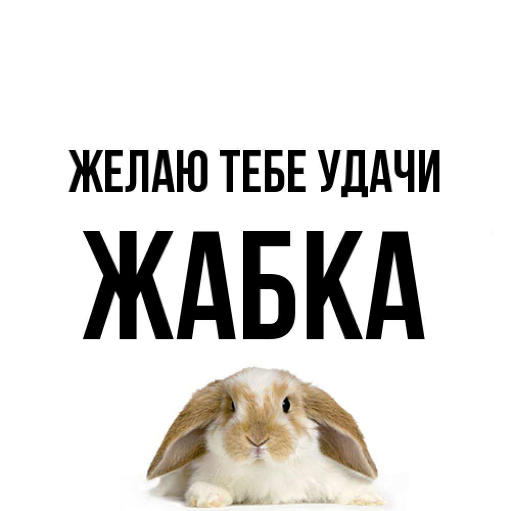 Открытка на каждый день с именем, Жабка Желаю тебе удачи открытки с произвольным текстом который можно вставить в открытку и создать ее самостоятельно бесплатно онлайн Прикольная открытка с пожеланием онлайн скачать бесплатно 