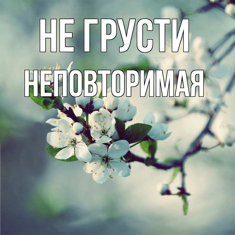 Открытка на каждый день с именем, Неповторимая Не грусти яблоня в цвету 1 Прикольная открытка с пожеланием онлайн скачать бесплатно 