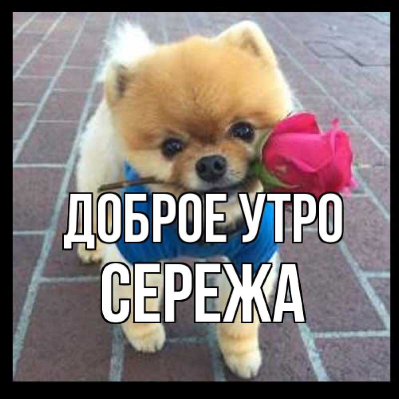 Картинка Доброе утро, Сережа