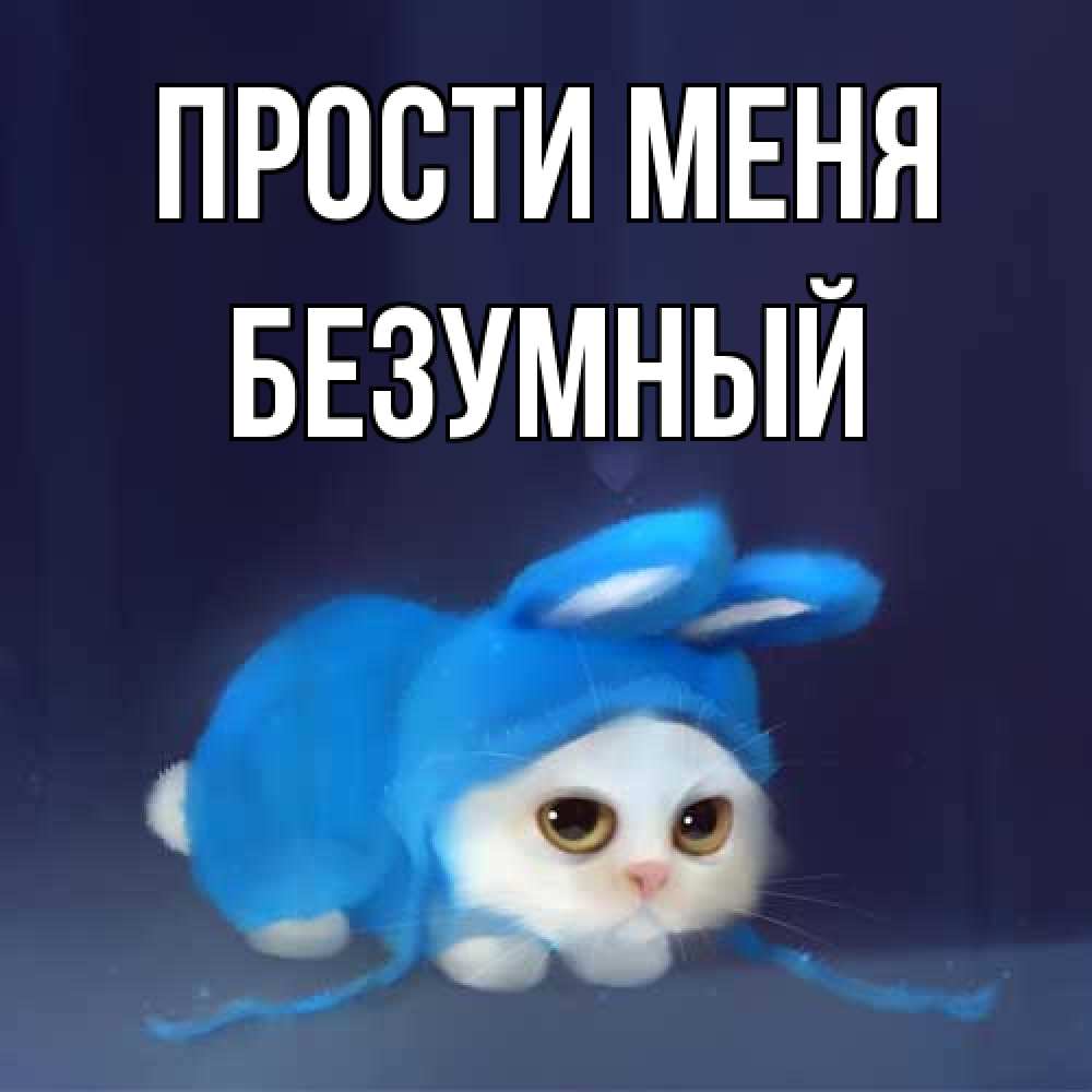 Открытка на каждый день с именем, Безумный Прости меня невинный котозай просит прощения Прикольная открытка с пожеланием онлайн скачать бесплатно 