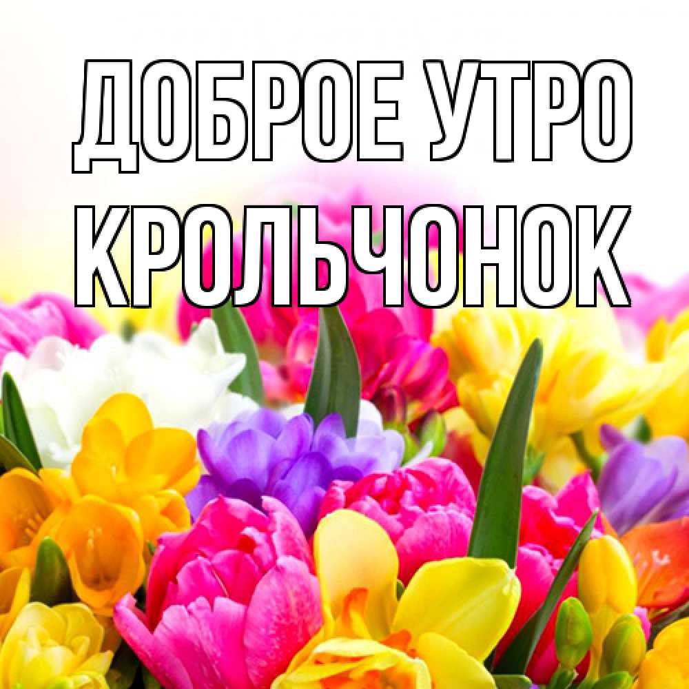 Открытка на каждый день с именем, Крольчонок Доброе утро создать открытку со свое подписью Прикольная открытка с пожеланием онлайн скачать бесплатно 