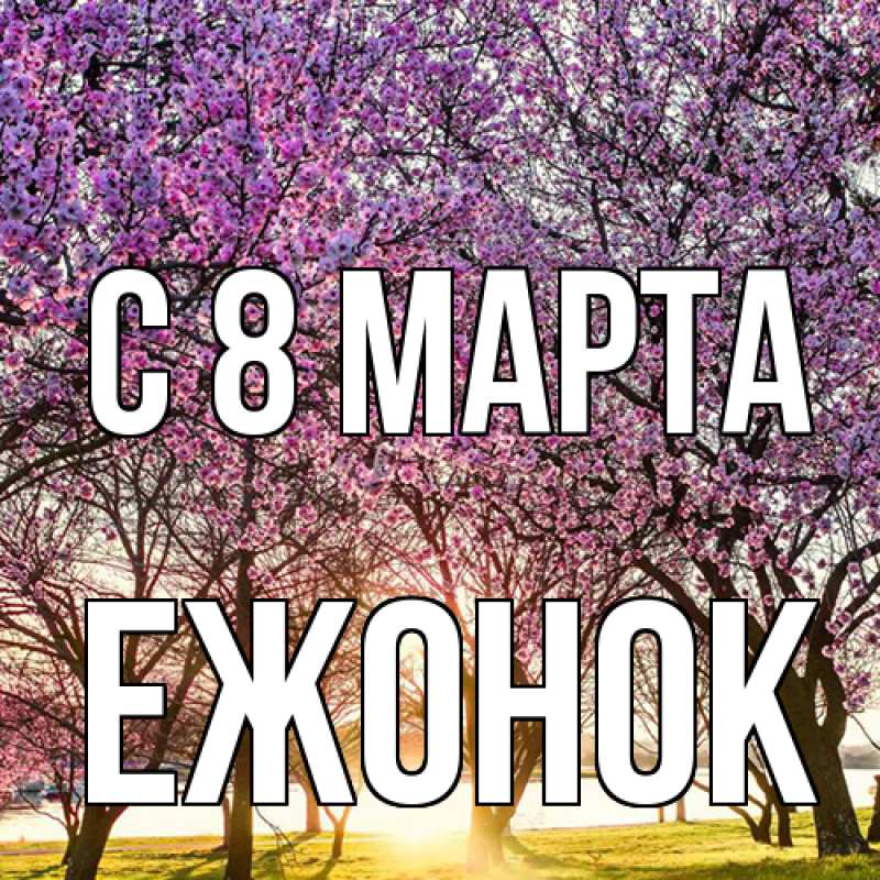 Картинка C 8 МАРТА, Ежонок