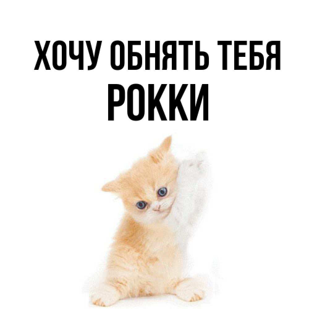 Открытка на каждый день с именем, Рокки Хочу обнять тебя я хочу очень скорее обнимаешек Прикольная открытка с пожеланием онлайн скачать бесплатно 