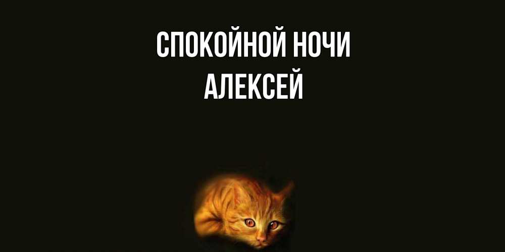 Открытка на каждый день с именем, Алексей Спокойной ночи кот Прикольная открытка с пожеланием онлайн скачать бесплатно 