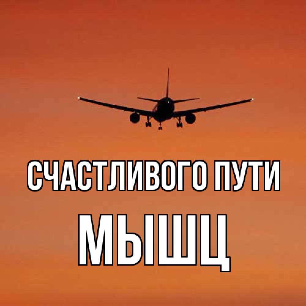 Открытка на каждый день с именем, Мышц Счастливого пути силуэт самолета Прикольная открытка с пожеланием онлайн скачать бесплатно 