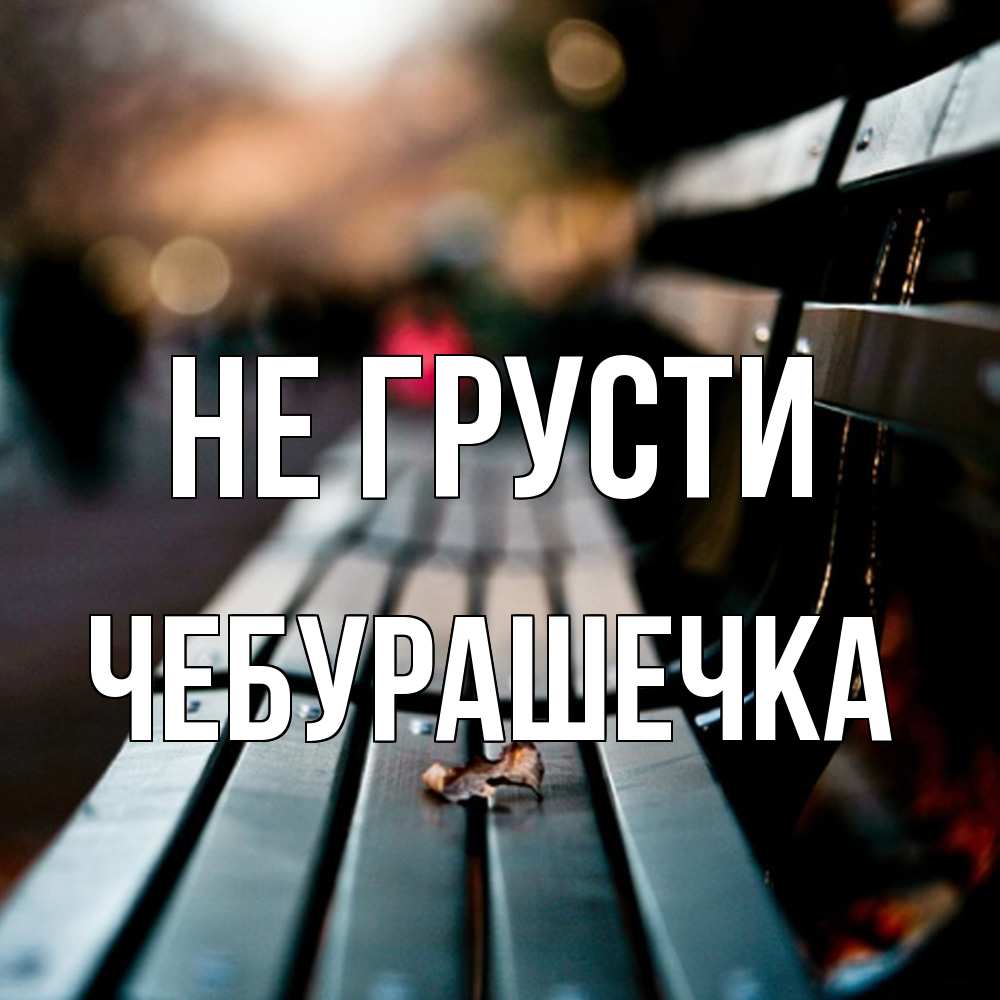 Открытка на каждый день с именем, Чебурашечка Не грусти размытый фон Прикольная открытка с пожеланием онлайн скачать бесплатно 