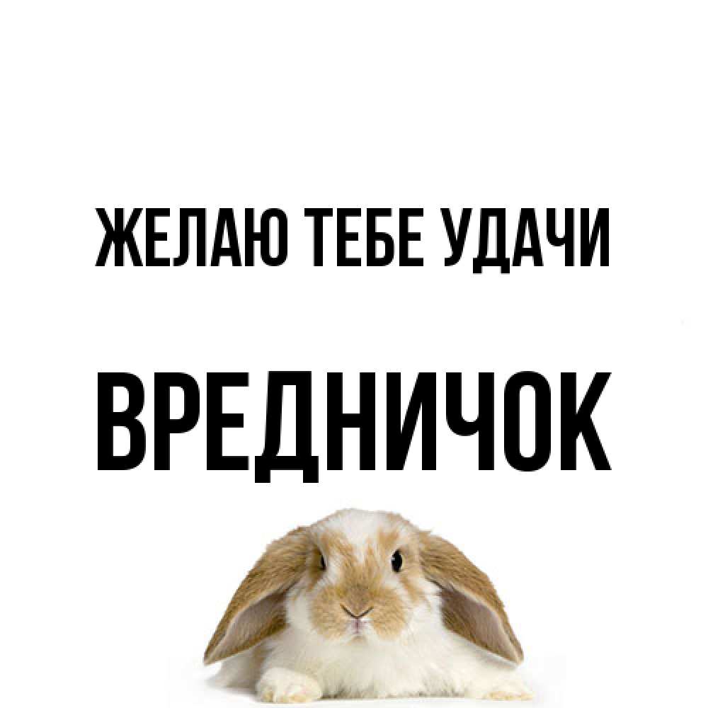 Открытка на каждый день с именем, Вредничок Желаю тебе удачи открытки с произвольным текстом который можно вставить в открытку и создать ее самостоятельно бесплатно онлайн Прикольная открытка с пожеланием онлайн скачать бесплатно 