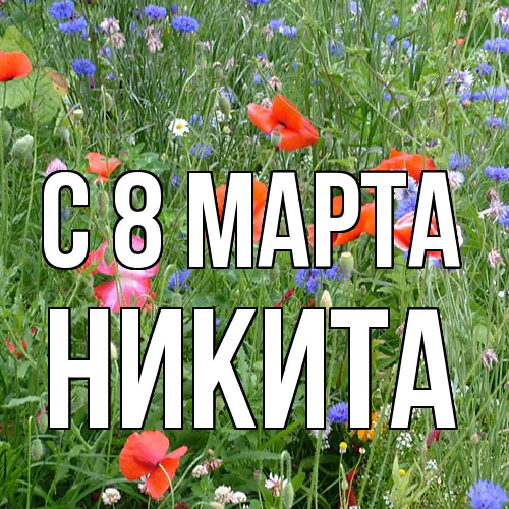 Открытка на каждый день с именем, Никита C 8 МАРТА международный женский день 4 Прикольная открытка с пожеланием онлайн скачать бесплатно 