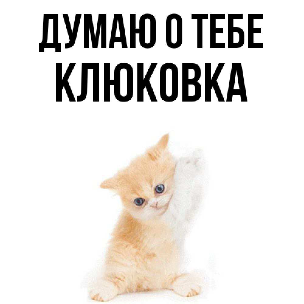 Открытка на каждый день с именем, клюковка Думаю о тебе зверушки и милота Прикольная открытка с пожеланием онлайн скачать бесплатно 