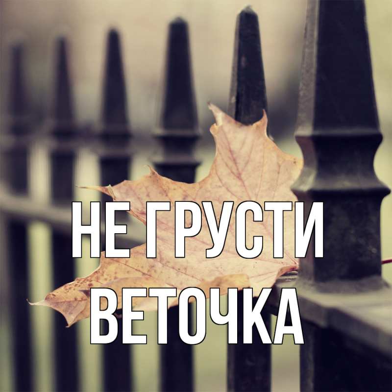 Картинка Не грусти, Веточка