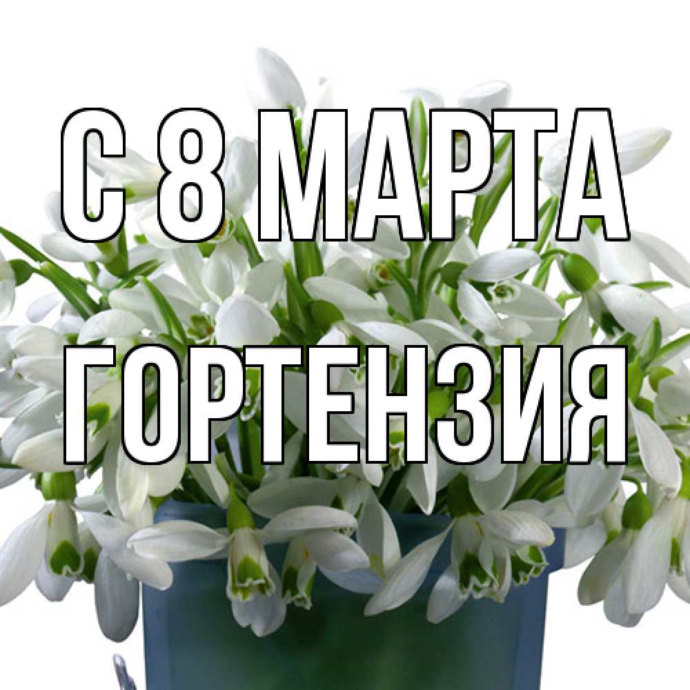 Открытка на каждый день с именем, Гортензия C 8 МАРТА цветы к международному женскому дню Прикольная открытка с пожеланием онлайн скачать бесплатно 