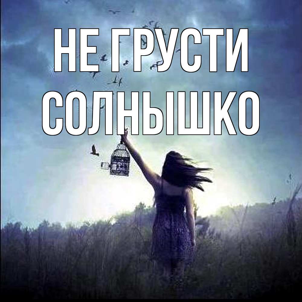 Открытка на каждый день с именем, Солнышко Не грусти на волю Прикольная открытка с пожеланием онлайн скачать бесплатно 
