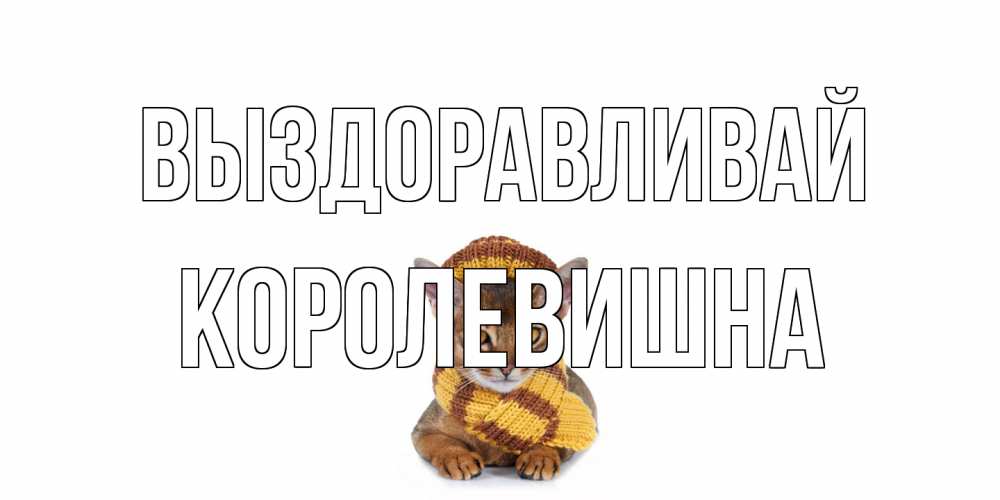 Открытка на каждый день с именем, Королевишна Выздоравливай родные не болейте Прикольная открытка с пожеланием онлайн скачать бесплатно 