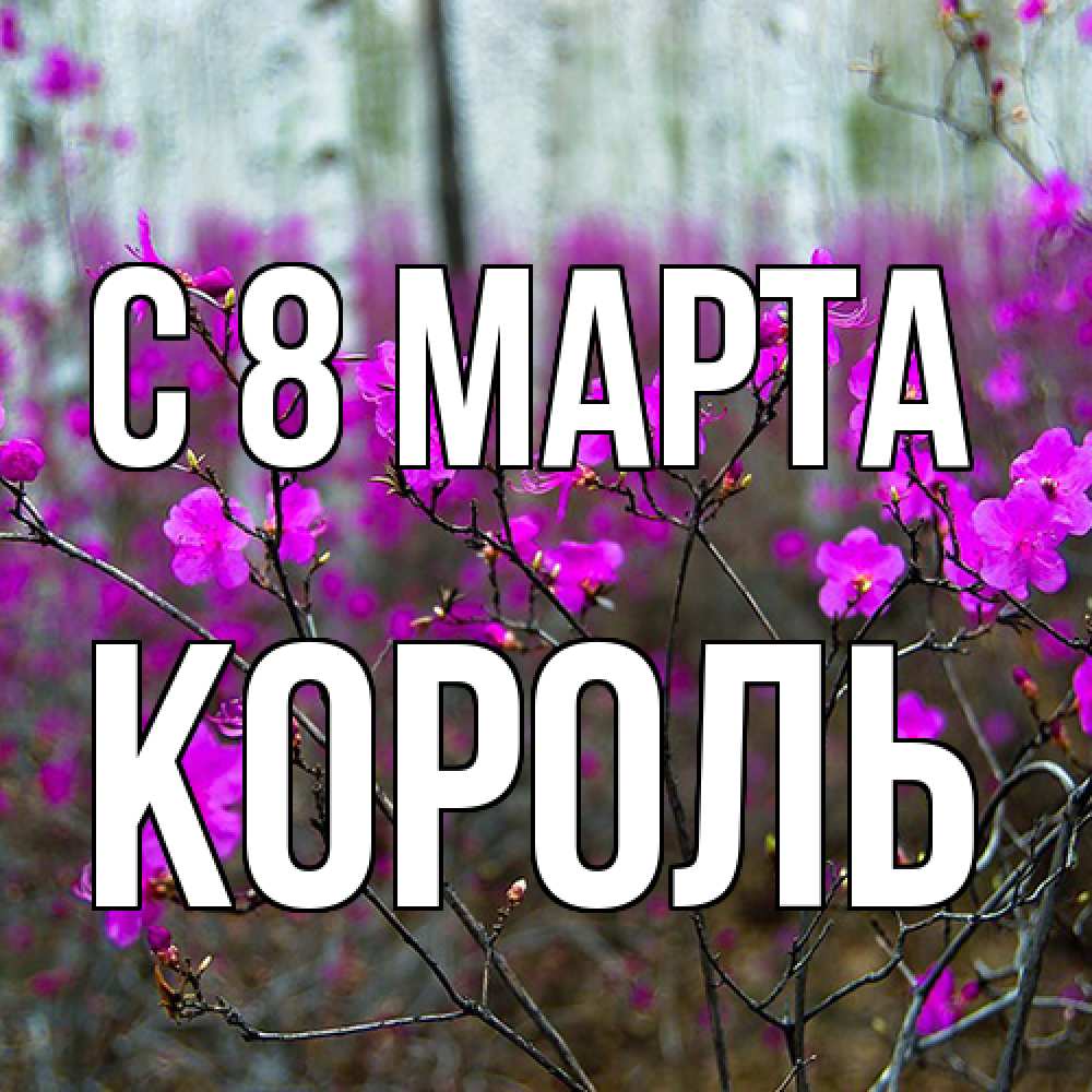 Открытка на каждый день с именем, Король C 8 МАРТА дикие цветы Прикольная открытка с пожеланием онлайн скачать бесплатно 