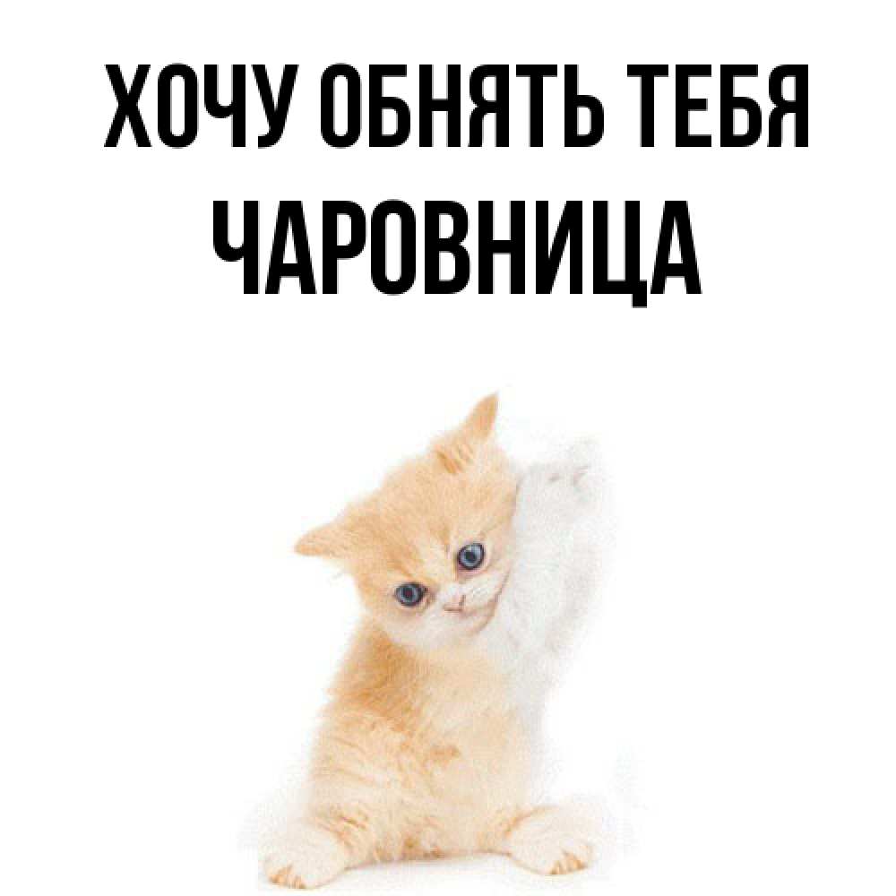 Открытка на каждый день с именем, Чаpовница Хочу обнять тебя я хочу очень скорее обнимаешек Прикольная открытка с пожеланием онлайн скачать бесплатно 