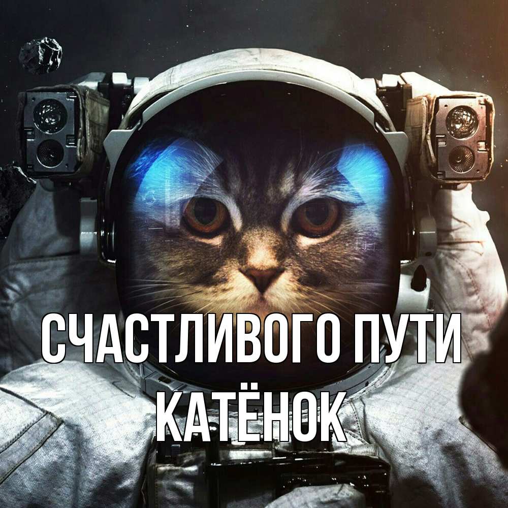 Открытка на каждый день с именем, Катёнок Счастливого пути желает удачно добраться Прикольная открытка с пожеланием онлайн скачать бесплатно 